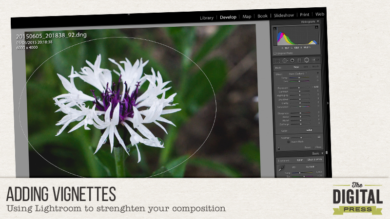 Adding Vignettes in Lightroom