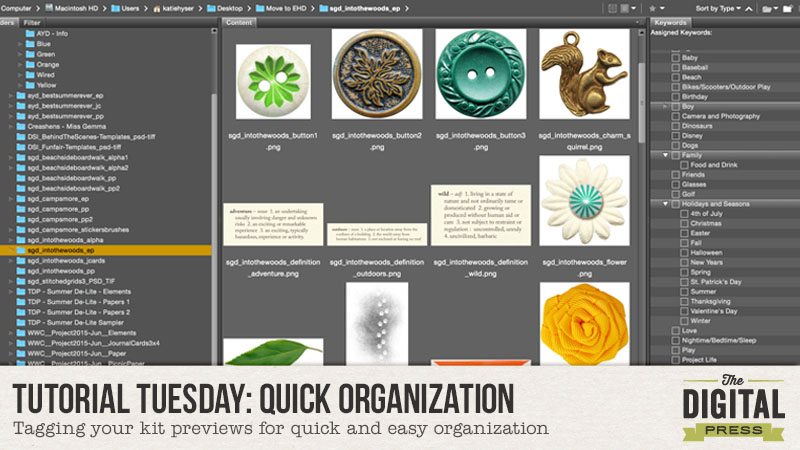 Tutorial Tuesday : Quick Organization