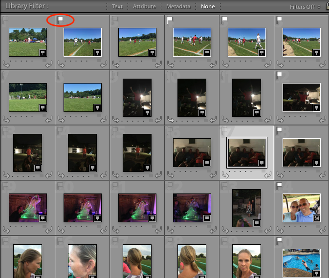 LR_Photos-2_lrcat_-_Adobe_Photoshop_Lightroom_-_Library