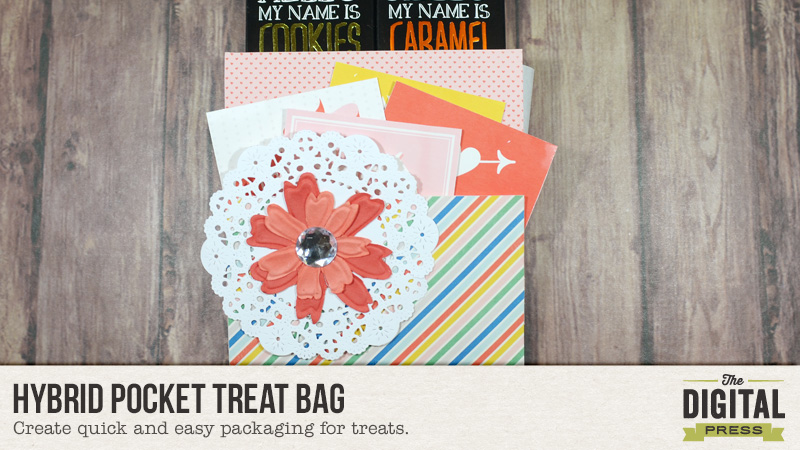 Hybrid Pocket Treat Bag