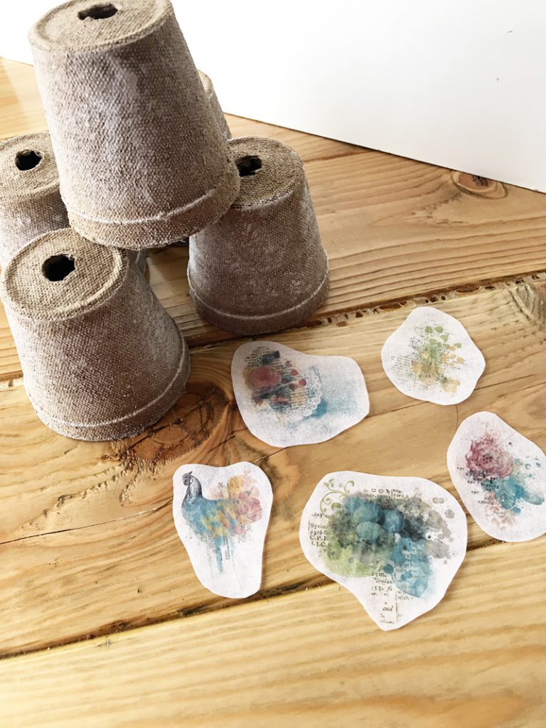 Hybrid HowTo Decorative Peat Pots The Digital Press