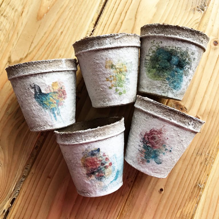 Hybrid HowTo Decorative Peat Pots The Digital Press